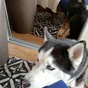 ���� Jarno..����, ���������, 60 ��� - ��������� 21 ������ 2023 � ������ ���� ����������