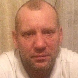 ������, ������, 45 ���