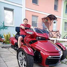 �������, �����-���������, 44 ����