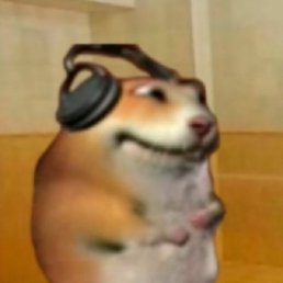 �������, �������, 34 ����