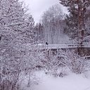 ���� Vendeta, ���������, 41 ��� - ��������� 25 ������� 2022 � ������ ���� ����������
