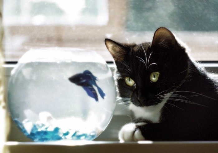 Сеанс гипноза) | ПреЛЮДИи чувств | Фотострана | Пост №2466685817