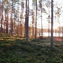 ���� ������, ��������, 58 ��� - ��������� 22 ������� 2022 � ������ ���������