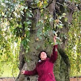 �������, ���������, 65 ���