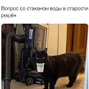 ���� ��������, ���������, 53 ���� - ��������� 21 ���� 2022 � ������ ���� ����������
