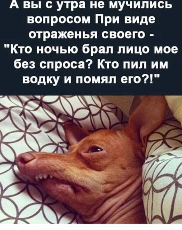 ��� ���� - 4 ������� 2023 � 15:07