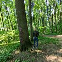 ���� ����, ������, 26 ��� - ��������� 20 ������ 2023 � ������ ���� ����������