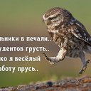 ���� ���, �����, 31 ��� - ��������� 13 ������� 2023 � ������ ���� ����������
