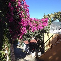 �����, ������, 47 ���