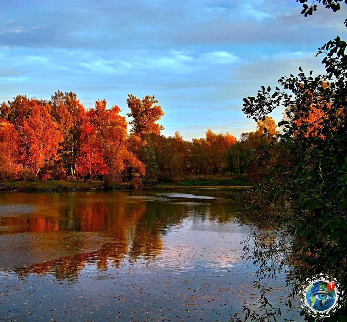 Амуpcкaя oблacть.Оceнь дaeт нaм вceм шaнc дoбaвить в жизнь яpких кpacoк…Этот удивительный мир