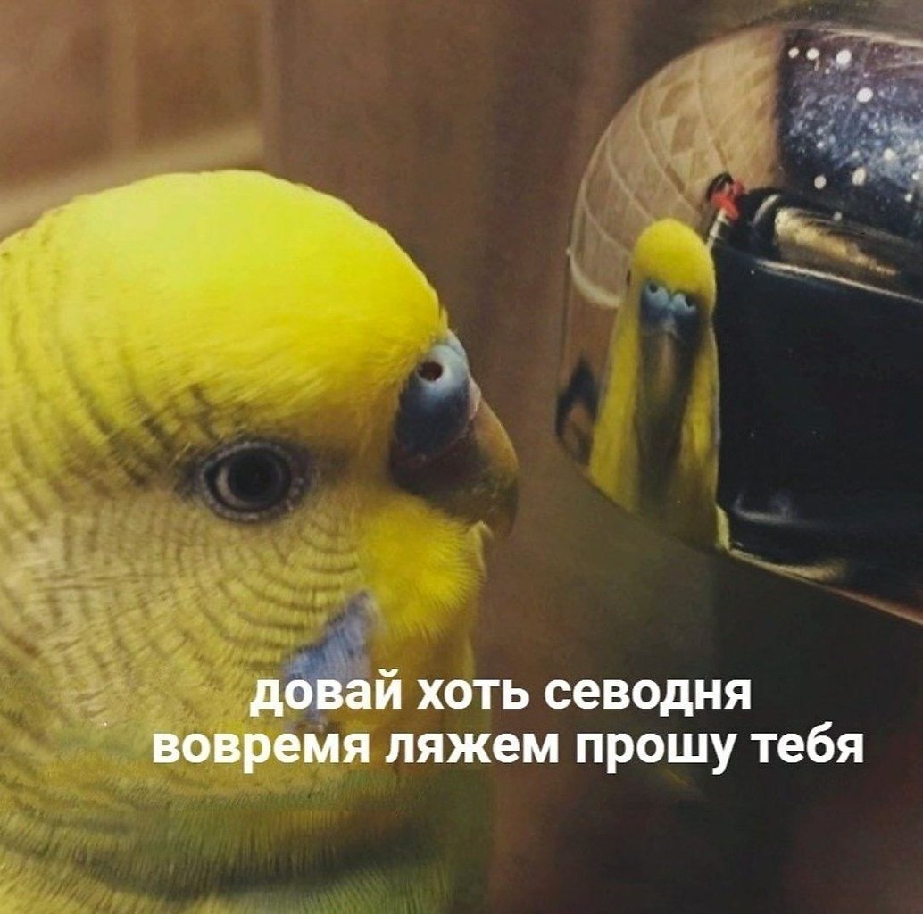    - 22  2022  21:12