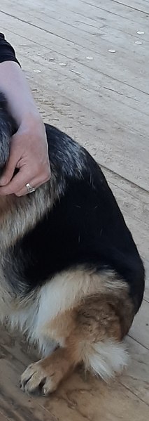 ����, ������, 56 ���