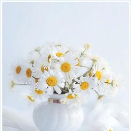 �����, ������, 33 ����