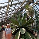  , , 56  -  29  2022   - 2022