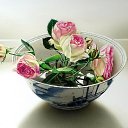 ���� �������, ���������, 44 ���� - ��������� 10 ������ 2022 � ������ ������ ��������