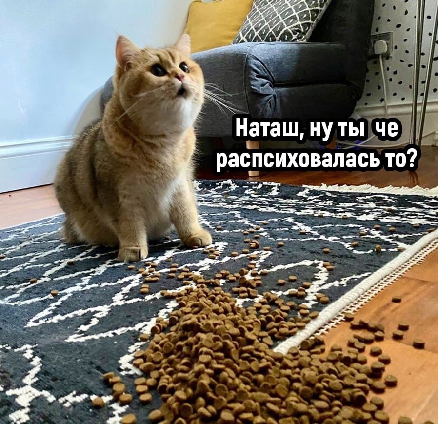     , ?!