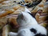 ���� �����, �������, 30 ��� - ��������� 24 ������� 2022