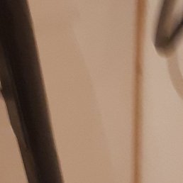 �����, �������, 48 ���