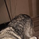 ���� ����, ���, 39 ��� - ��������� 12 ���� 2022 � ������ ���� ����������