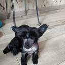 ���� ������, ������ - ��������� 31 ������� 2022 � ������ ���� ����������