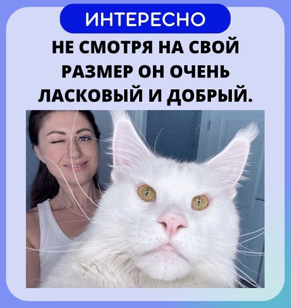   - ! - 11  2022  07:33 - 3