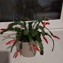 ���� ��������, ������, 31 ��� - ��������� 7 ������� 2022 � ������ ���� ����������