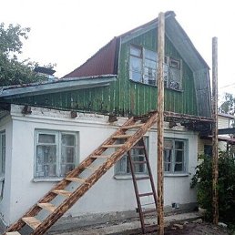 �������, ���������, 43 ����