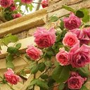 ���� ������, ������, 45 ��� - ��������� 2 ������ 2022 � ������ ���� ����������