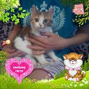 ���� �����, ���������, 36 ��� - ��������� 13 ������� 2023