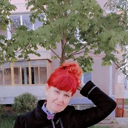 �������, �������, 63 ����