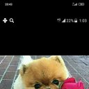 ���� ���� 19����67����., ������-��-����, 58 ��� - ��������� 11 ������ 2023 � ������ ���� ����������