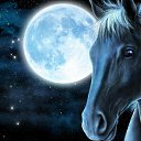 ���� ����, ����������, 52 ���� - ��������� 28 ��� 2022 � ������ ���� ����������