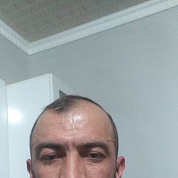 , 40, 