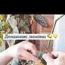 ���� ������, �����, 63 ���� - ��������� 15 ������ 2023 � ������ ���� ����