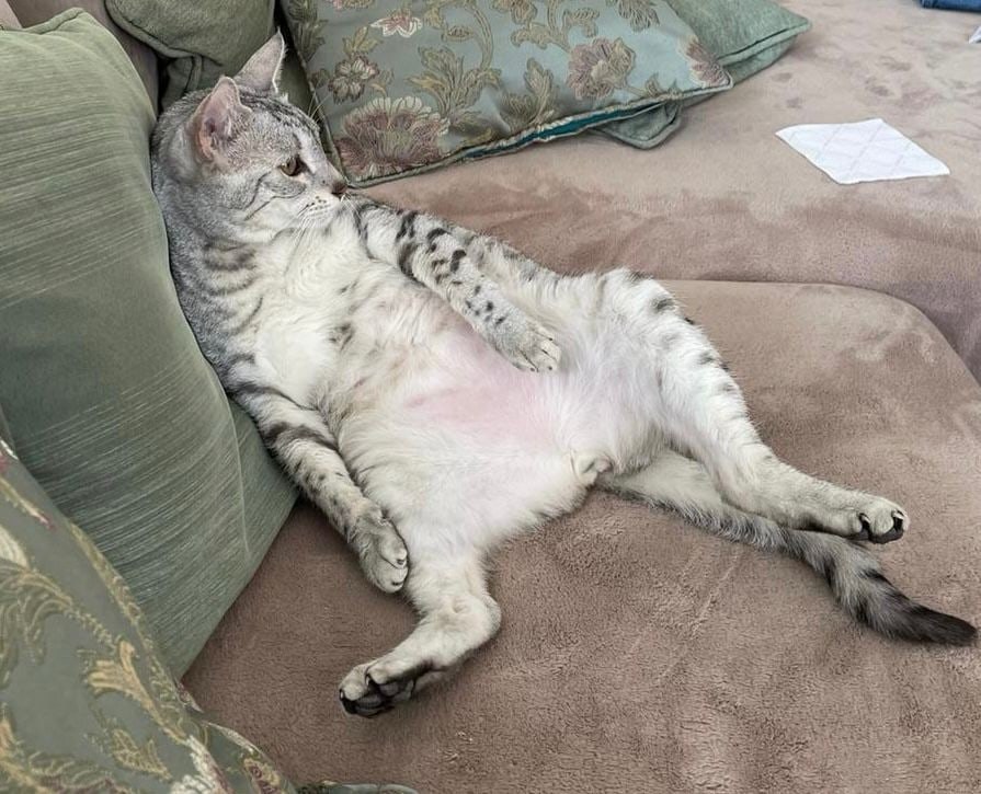  ,            -  , , ...