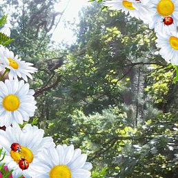 ����, ����, 59 ���