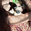 ���� �����, ������, 64 ���� - ��������� 22 �������� 2022 � ������ ���� ����������