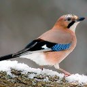���� �����, �������, 61 ��� - ��������� 8 ������� 2023 � ������ ���� ����������