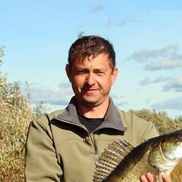 ������, �������, 50 ���