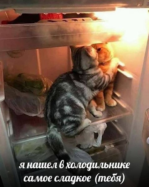 ��� ���� - 28 ������ 2023 � 14:22