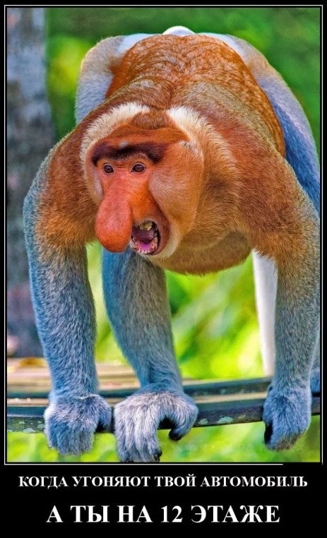 ,  (+18) - 13  2022  07:40