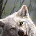 ���� ����, ����, 48 ��� - ��������� 20 ������� 2023 � ������ ���� ����������