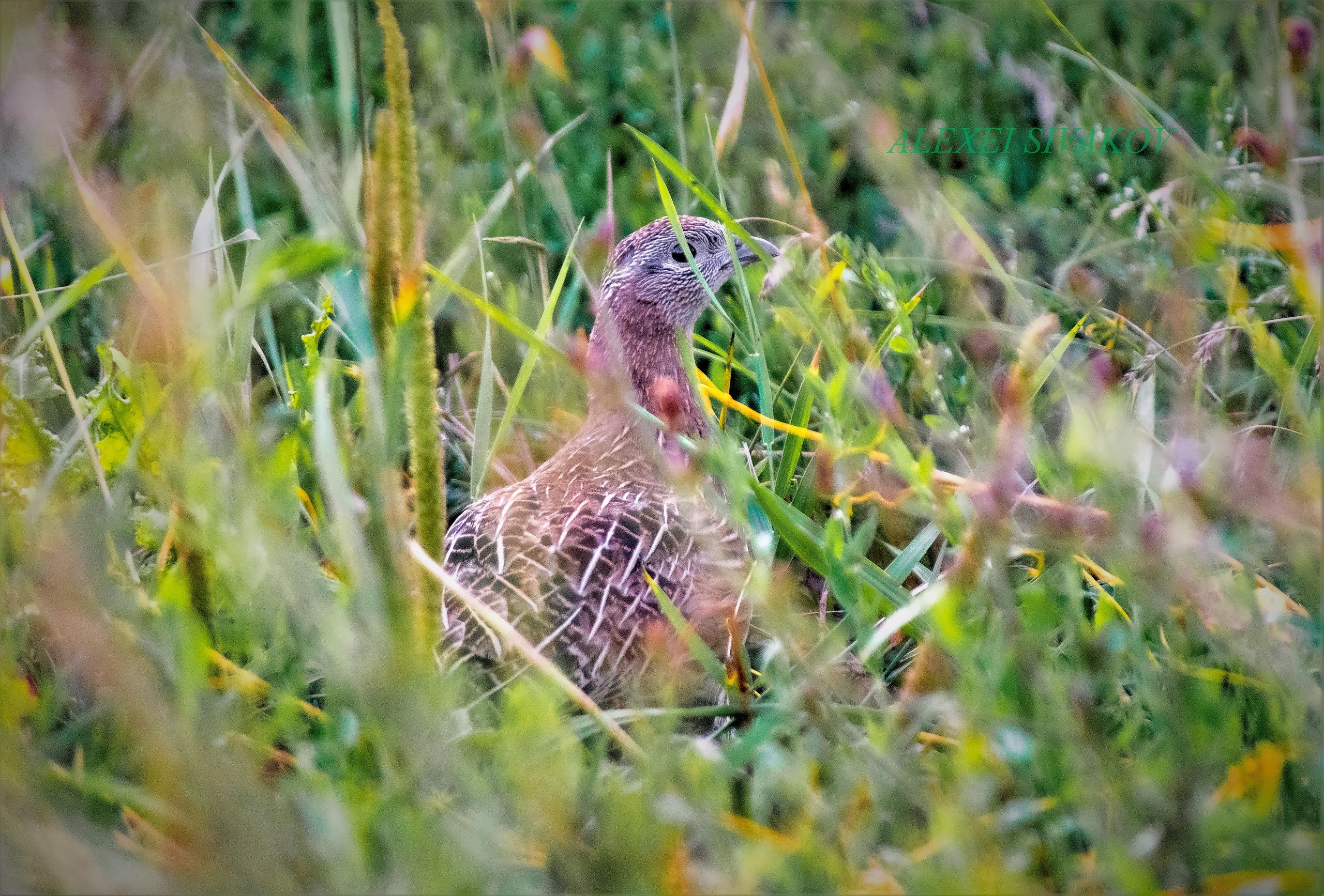  - 5  2022  15:12 - 3