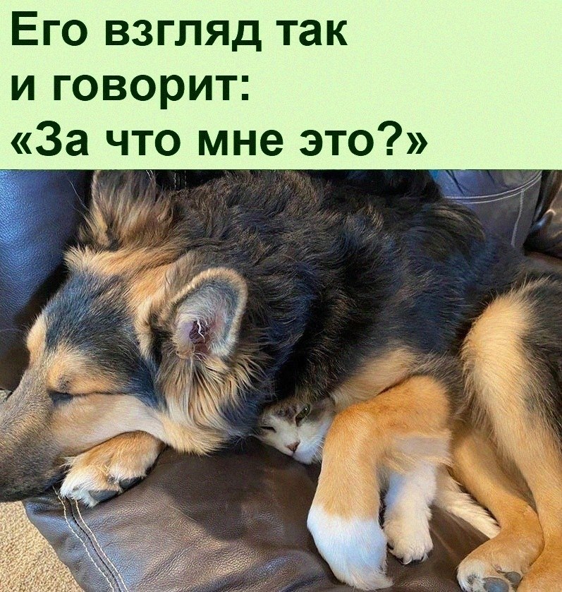 ������ ��������� :D - 4 ������� 2022 � 10:40