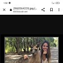 ���� ��, �������, 41 ��� - ��������� 28 ���� 2022 � ������ ���� ����������