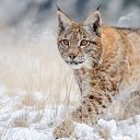 ���� Marlen, ����������� - ��������� 31 ���� 2022 � ������ ������ ��������