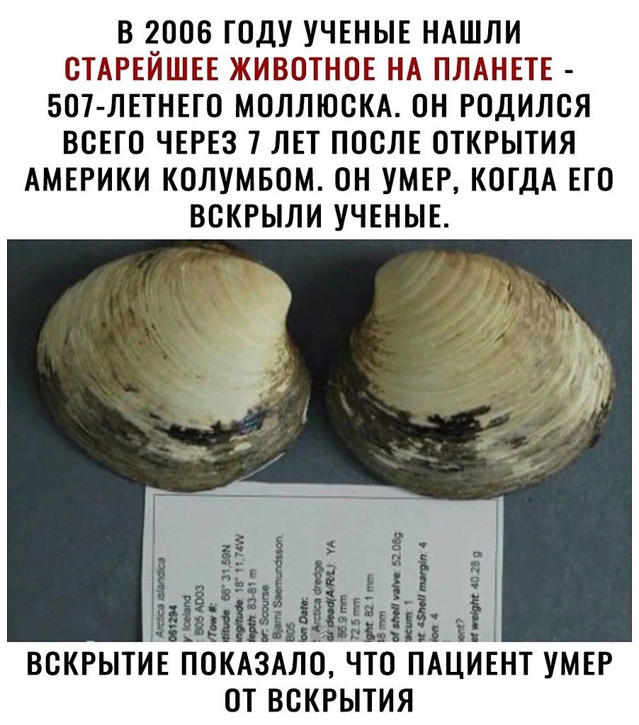    ,    .     ,  ,   .   ...