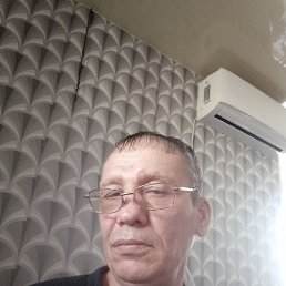 , 52 , 