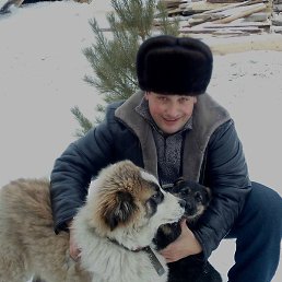 �������, ������, 42 ����