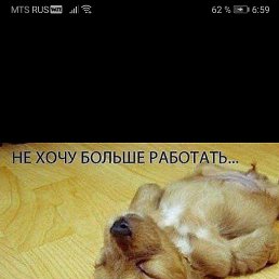 ���� �������, ������, 51 ��� - ��������� 25 ������� 2022